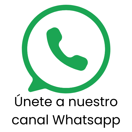 Canal de WhatsApp PDM